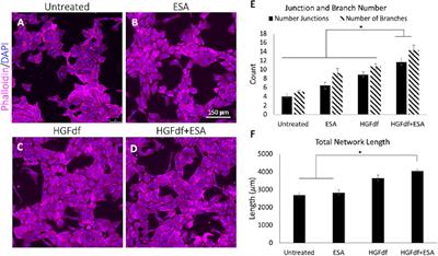 The Expanding Armamentarium of Innovative Bioengineered Strategies to Augment Cardiovascular Repair and Regeneration